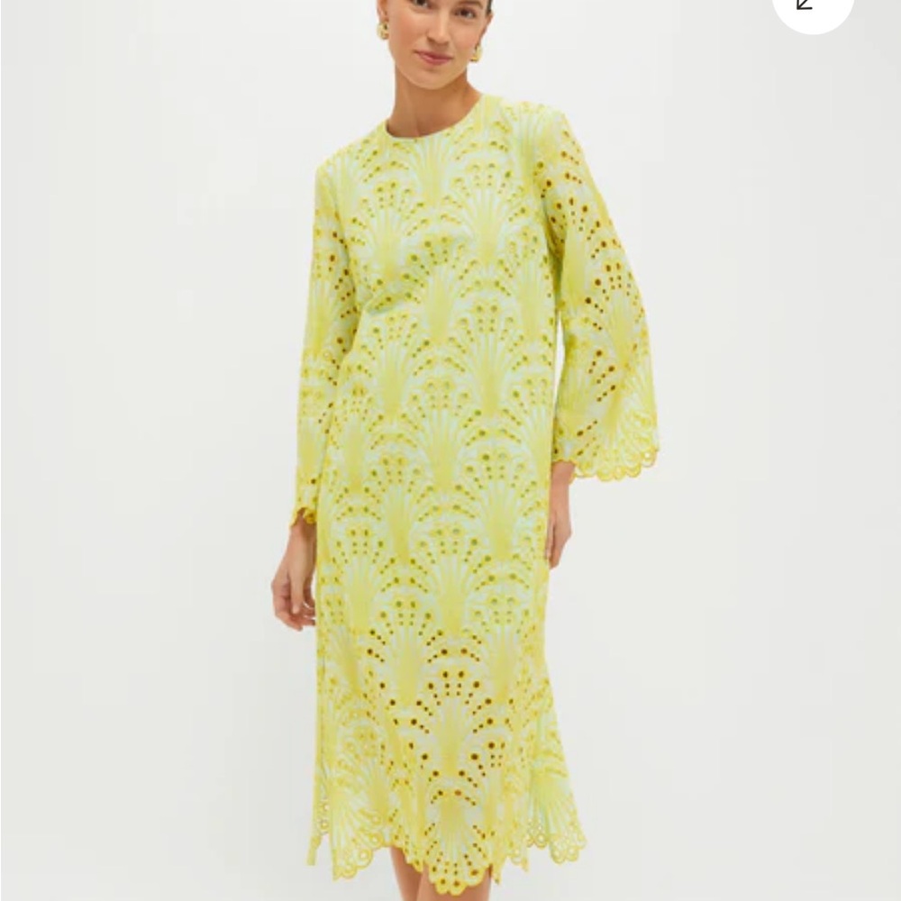 Tuckernuck Yellow Lace Midi Dress

Mint and Mimosa Eyelet Jamie Dress